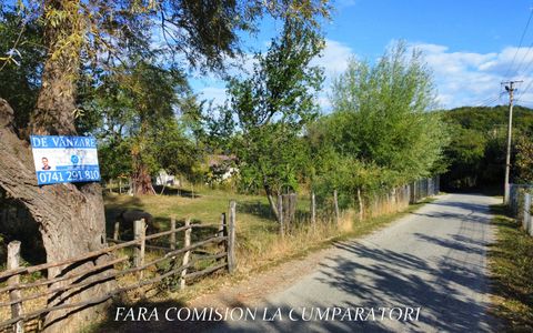 TEREN 5274 MP, CADRU NATURAL MINUNAT