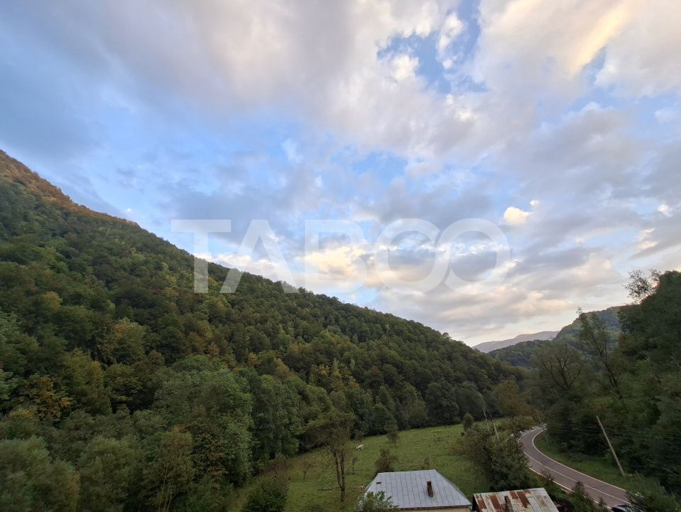 Spatiu de vanzare in Valea Macesului judel Valcea iesire la Lotru – fotografia 43 din 49
