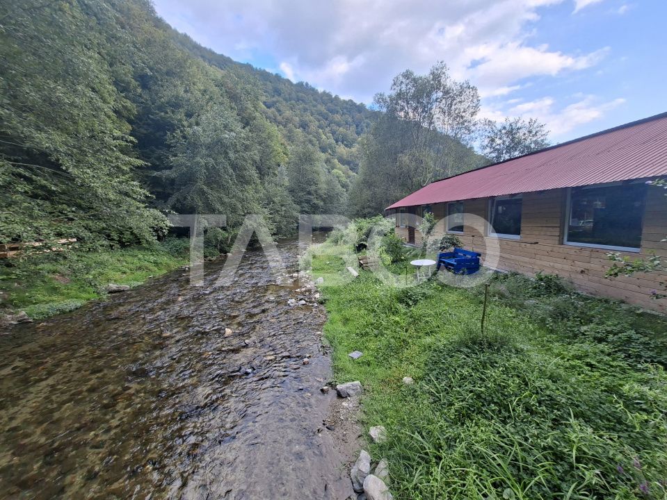 Spatiu de vanzare in Valea Macesului judel Valcea iesire la Lotru – fotografia 25 din 49