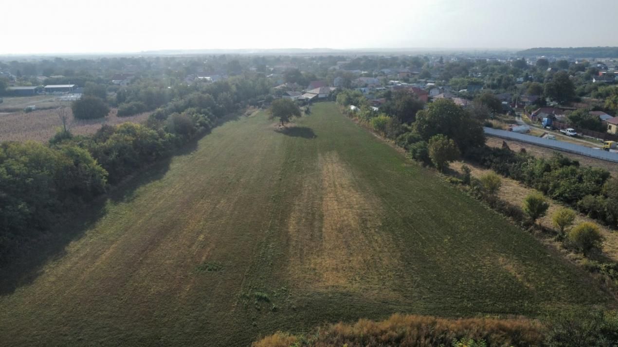 Dascălu -Teren intravilan arabil 7.182 mp – fotografia 3 din 13