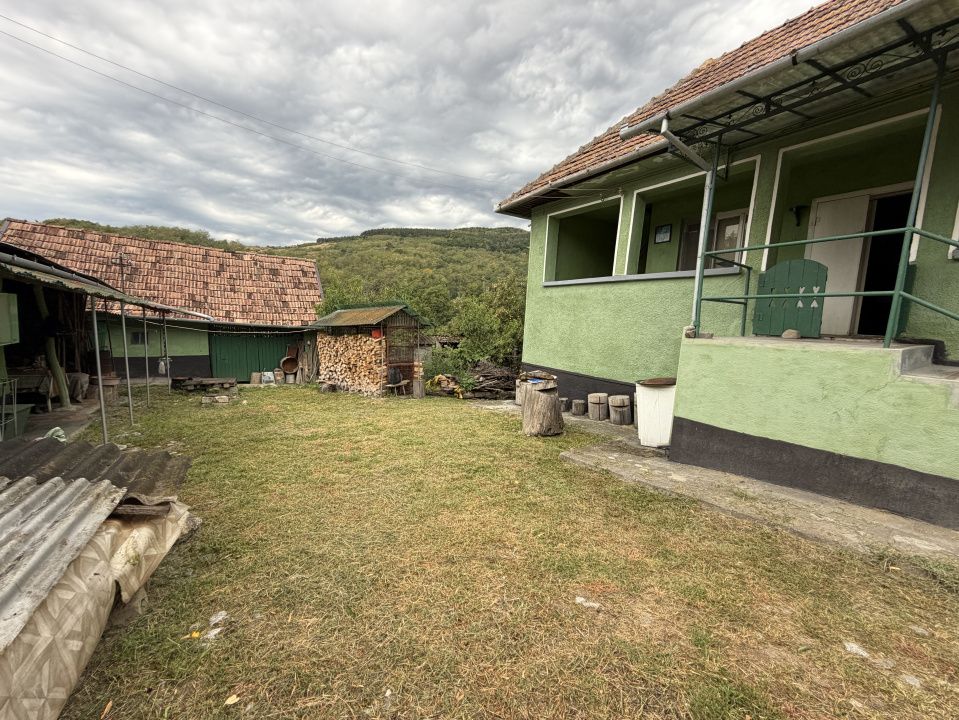 Casă în Cricău cu 1.375 mp teren, anexe, utilități, vie și livadă - Oportunitate – fotografia 11 din 54