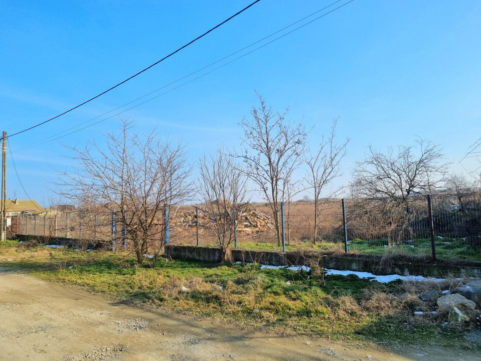 Teren intravilan 7400 mp in Sibioara, cu vedere la Lacul Tasaul – fotografia 5 din 7