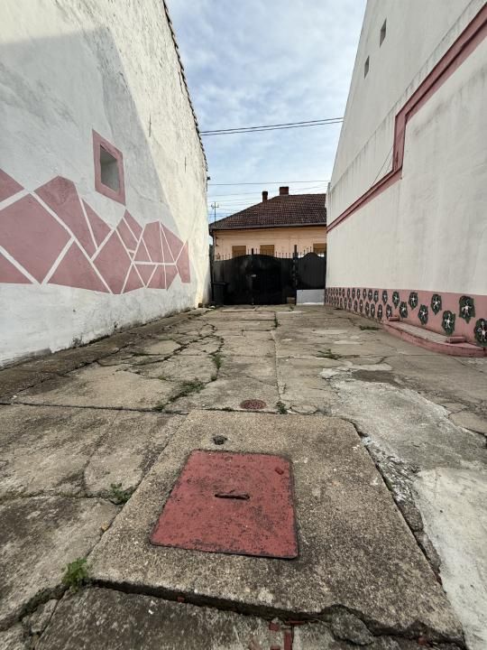 Casa 4 camere, 2 bai, 2 bucatarii, 130 mp utili, 902 mp teren  - Bogdanestilor – fotografia 4 din 6