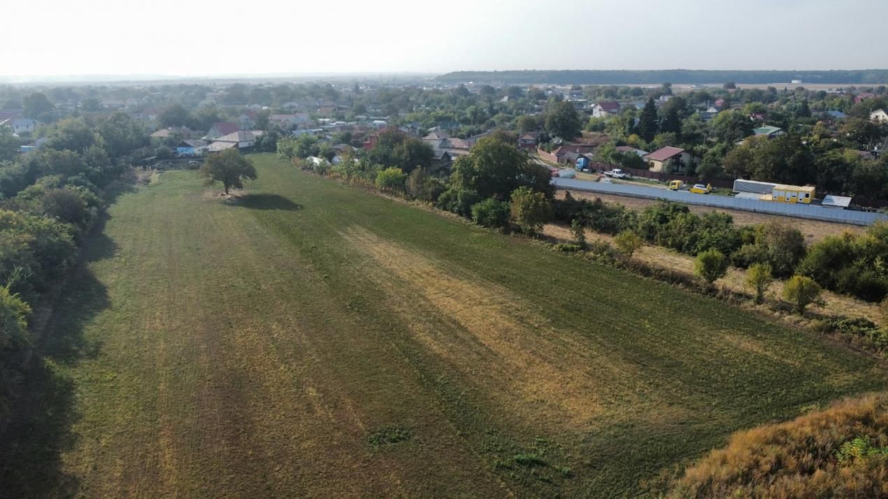 Dascălu -Teren intravilan arabil 7.182 mp – fotografia 2 din 13