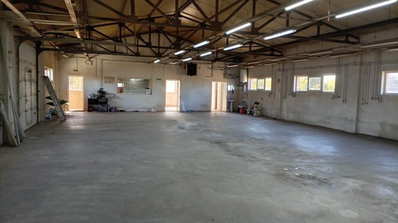 Hala industriala in sos.Borsului , jud Bihor de inchiriat – fotografia 2 din 13