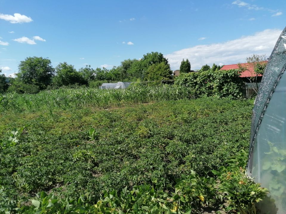 Casă de vânzare în mun. Reghin – fotografia 10 din 13