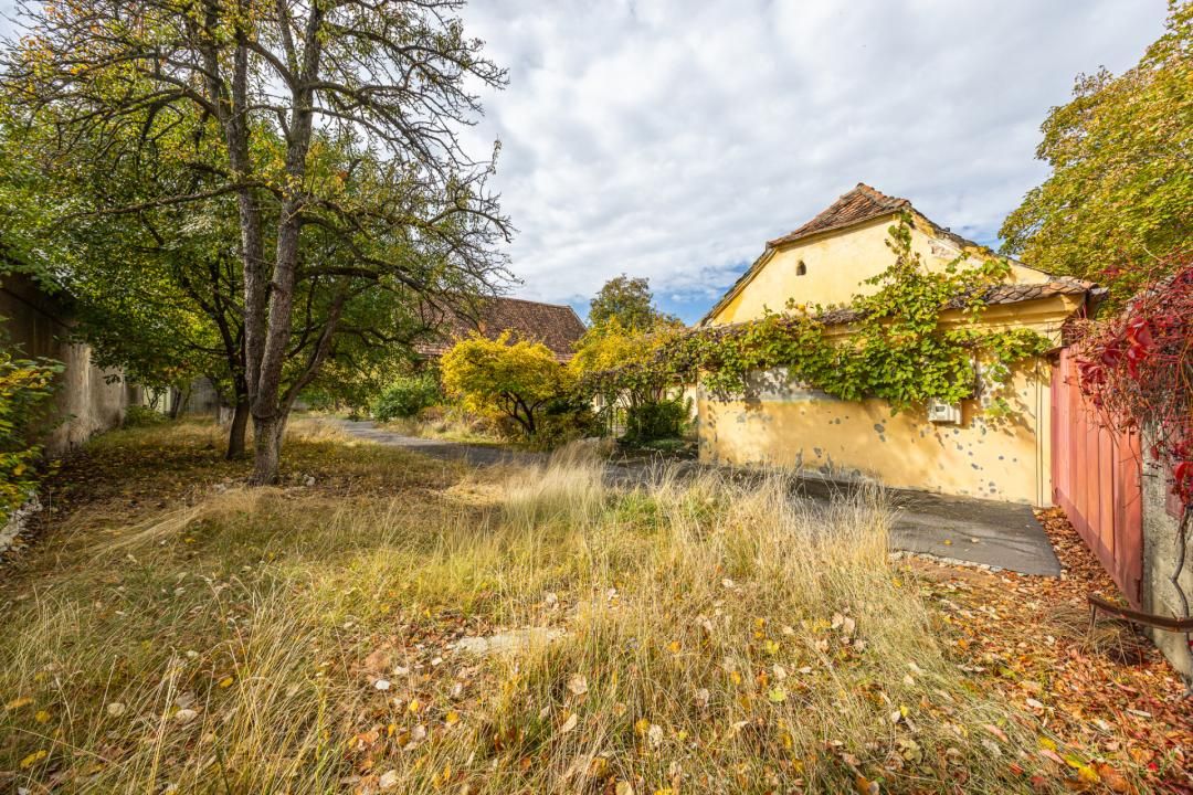 Casa individuala + sura, teren 1676 mp – Avram Iancu – fotografia 6 din 34