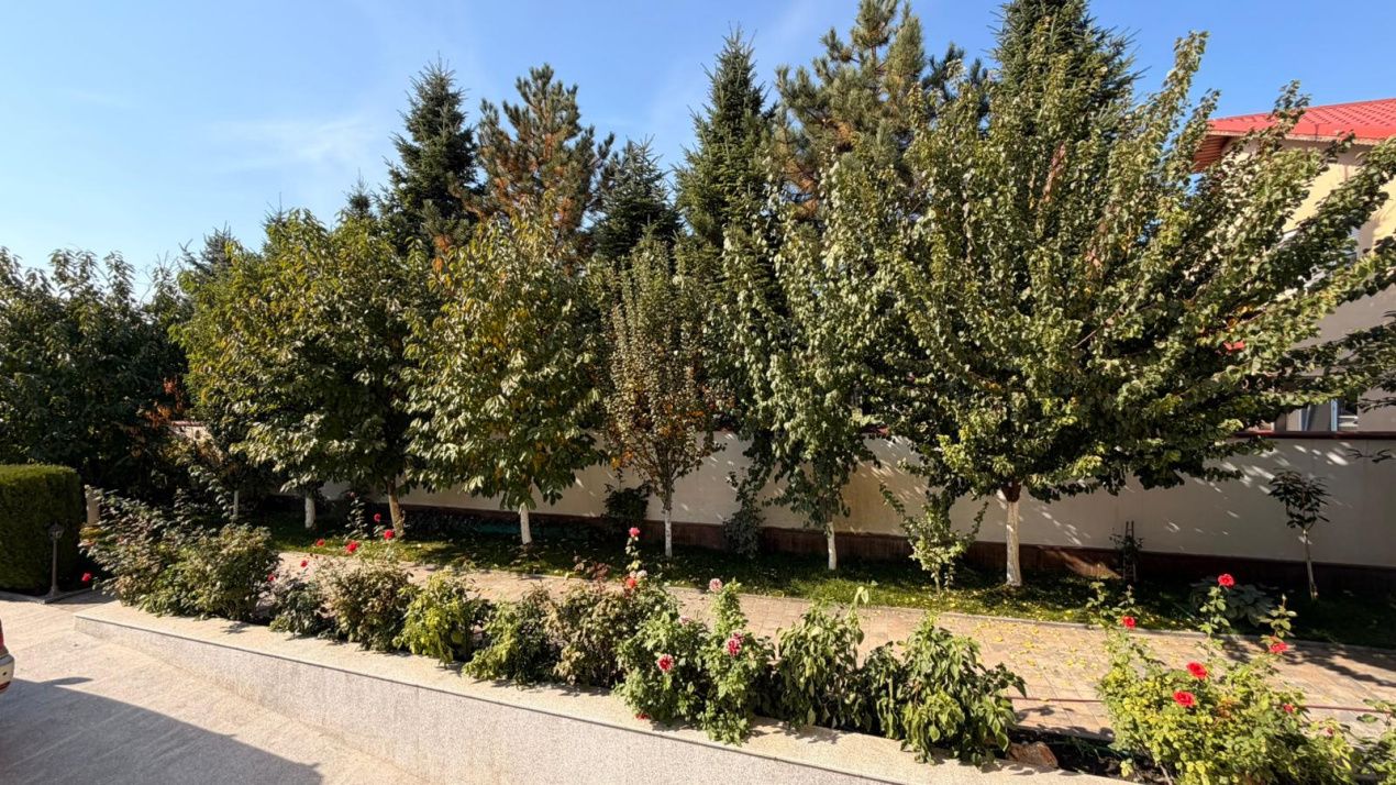 Vila 7 camere 475MP | Voluntari | Piscina | 4 locuri de parcare | – fotografia 48 din 50