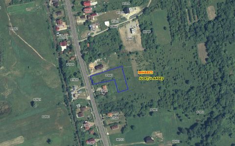 Teren Construcții intravilan de 2600 mp, în Rudeni (Mihăești) preț 49.400 €