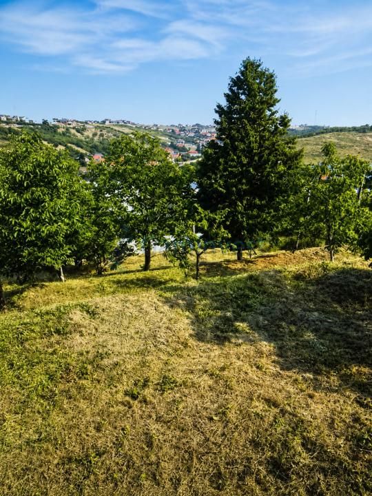Teren in zona verde aproape de oras, zona Doja, Oradea – fotografia 1 din 9