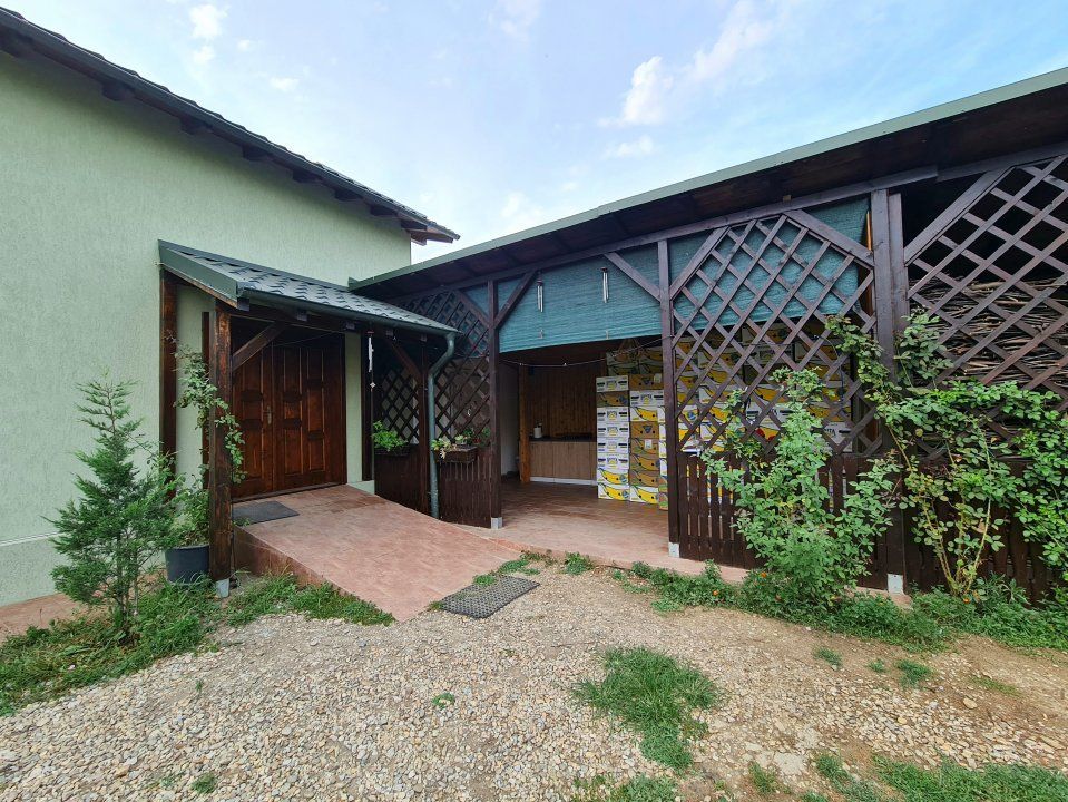 Vila + Afacere 15.000mp Clinceni – fotografia 6 din 31