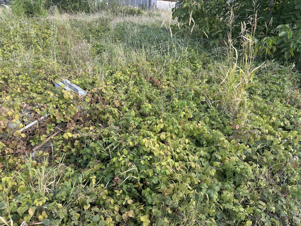 TEREN INTRAVILAN 432 MP I APA, GAZ, CURENT I DESCHIDERE LA STRADA 22 ML – fotografia 2 din 4