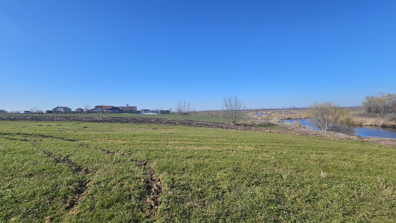 Loturi de Casa pe malul Lacului Creața, Dascălu – 460 mp + Drum servitute – fotografia 8 din 9