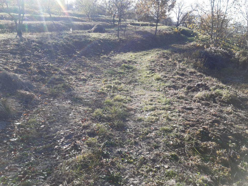 Teren cu acces facil și priveliște panoramică în Podgoria Oradea – fotografia 4 din 4