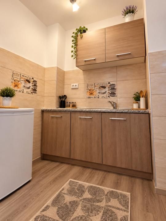 Apartament 1 camera, mobilat 22 mp, etaj 3 - Buziasului – fotografia 3 din 5