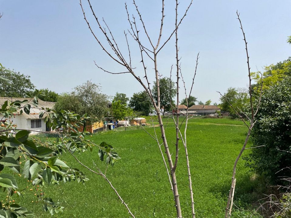 Teren intravilan 2.581 mp de vânzare în Mihail Kogălniceanu – deschidere 36,84ml – fotografia 1 din 14
