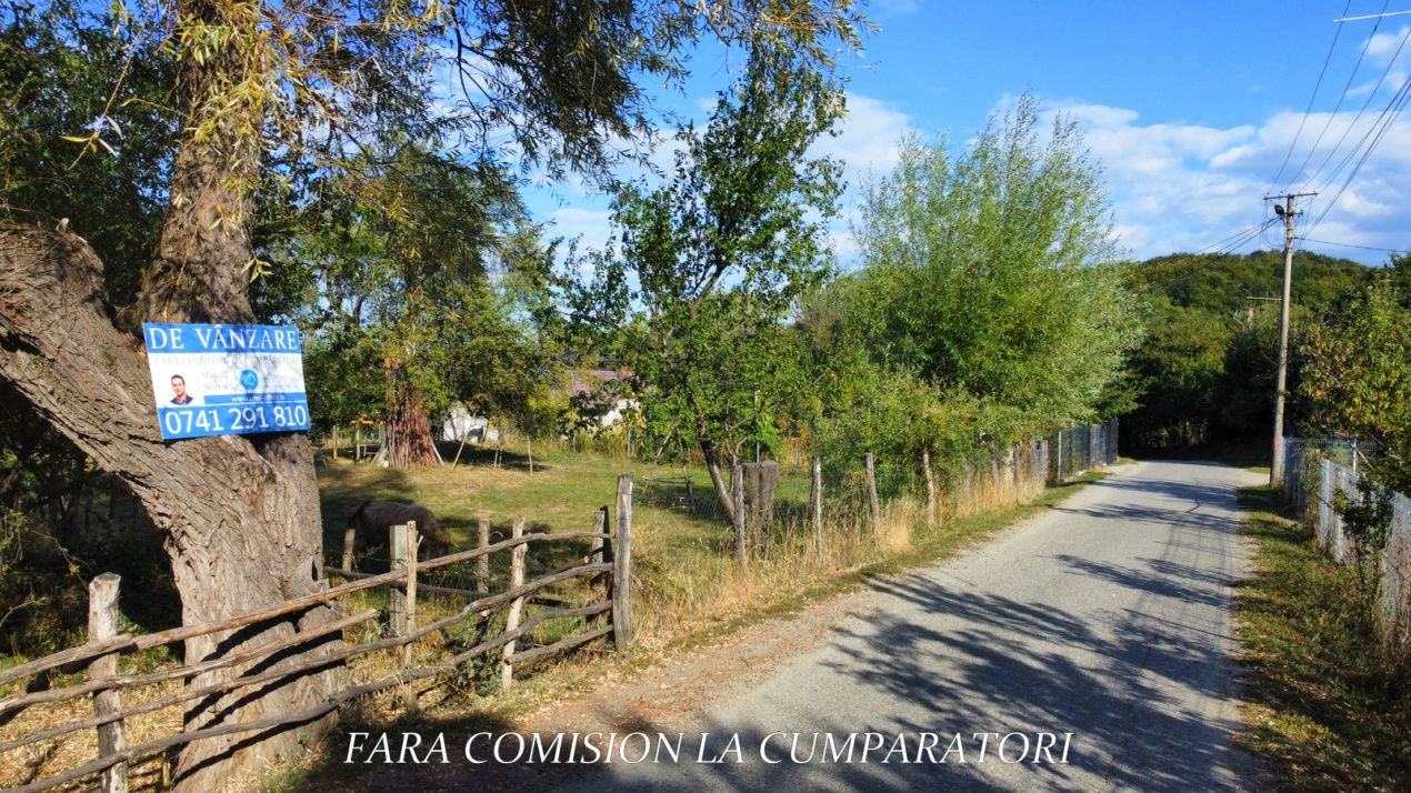 TEREN 5274 MP, CADRU NATURAL MINUNAT – fotografia 1 din 17