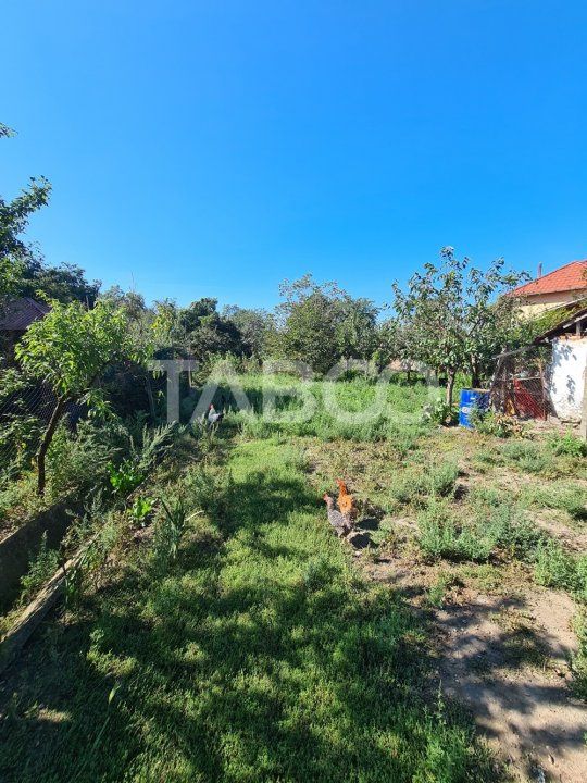Casa cu spatiu comercial de vanzare in Sebes zona centrala – fotografia 18 din 20