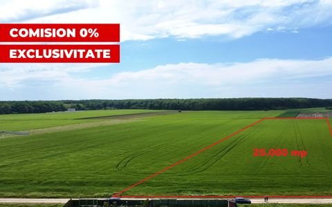 ✨OPORTUNITATE INVESTIȚIE:Teren intravilan 25.000mp Dascălu-Pădure, parcelabil✨