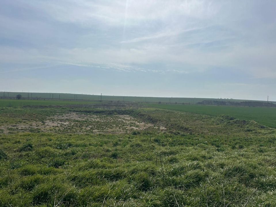 Teren intravilan 10.000 mp | DN | in Zona Volvo - Hala Neagră – fotografia 8 din 10