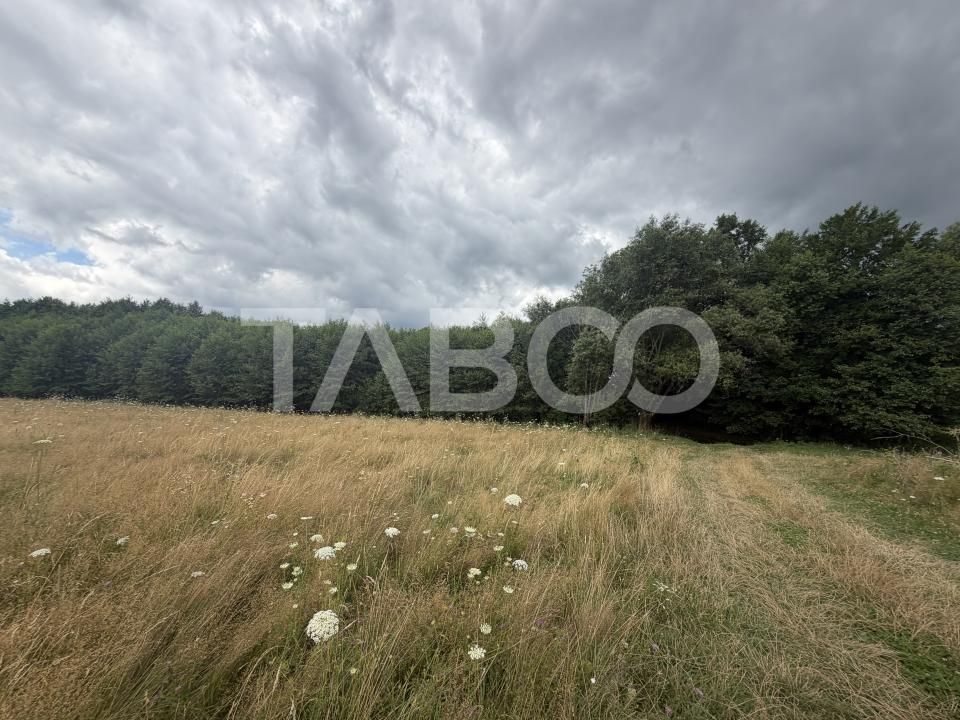 Teren extravilan 3650 mp latime 28 ml pretabil pentru cabana turistica – fotografia 5 din 5