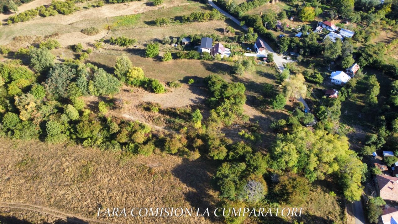 TEREN 5274 MP, CADRU NATURAL MINUNAT – fotografia 7 din 17