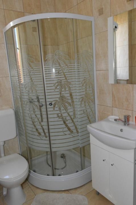 Casa cu 8 camere de inchiriat, Sanmartin, Bihor – fotografia 8 din 10
