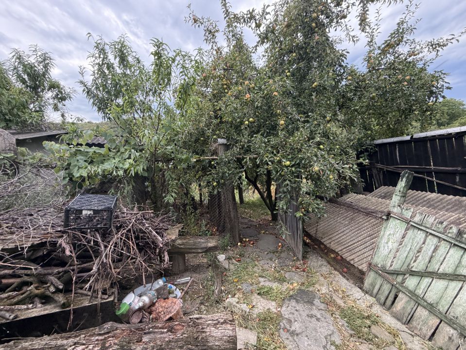 Casă în Cricău cu 1.375 mp teren, anexe, utilități, vie și livadă - Oportunitate – fotografia 17 din 54