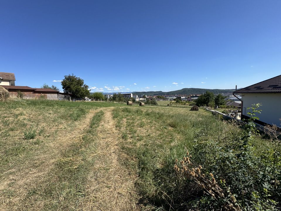 TEREN INTRAVILAN 4.600 MP - ZONA LEONI - OPORTUNITATE DE INVESTIȚIE – fotografia 1 din 5