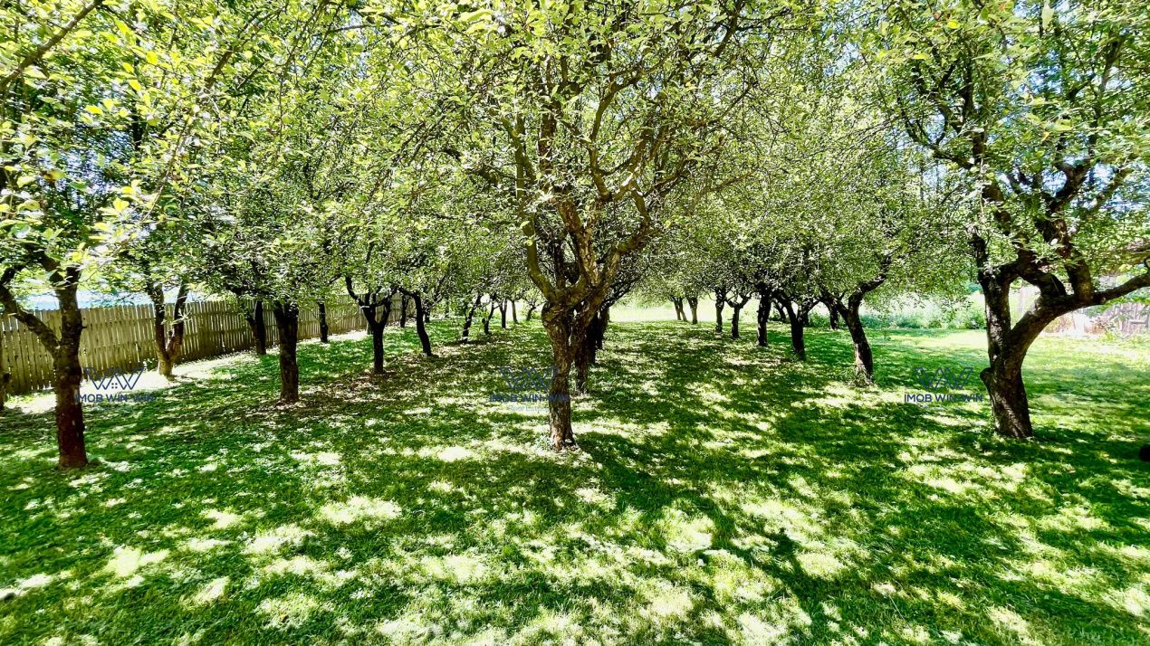 Proprietate Excepțională cu Potențial Dublu în Valea Ursului, Argeș – fotografia 1 din 20