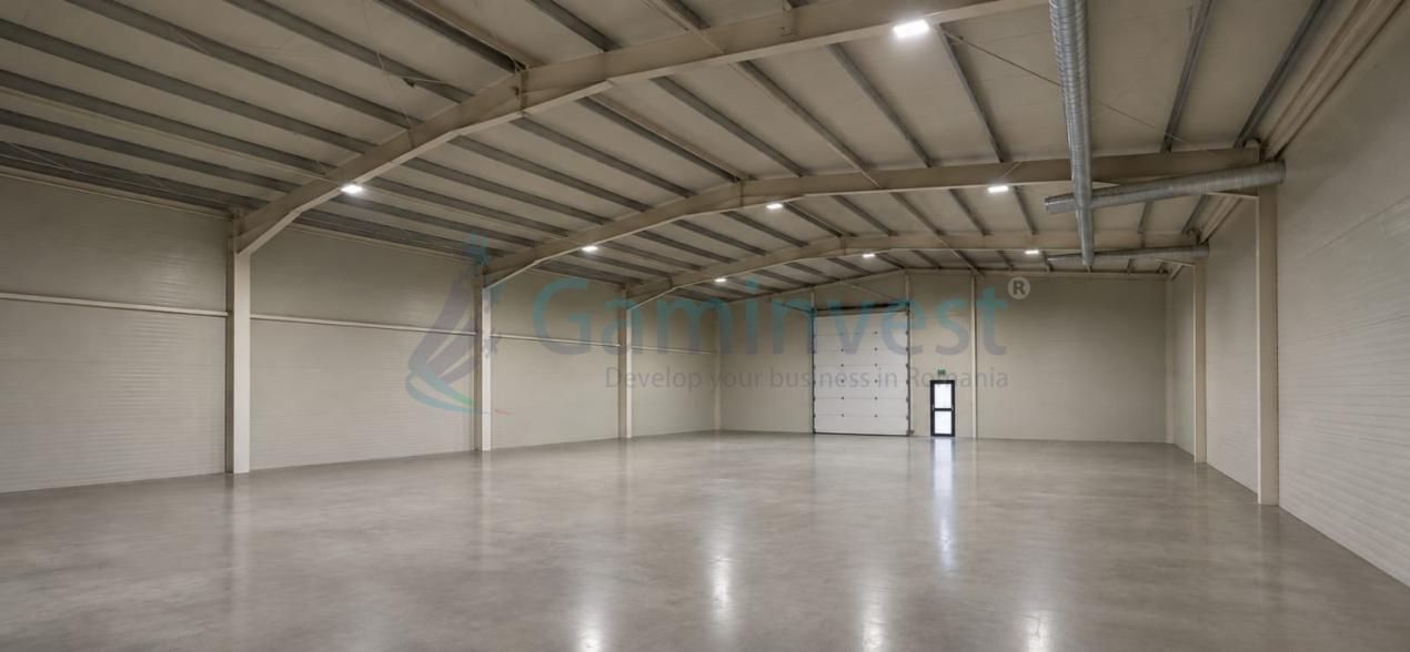 Hala de vanzare langa Oradea cu deschidere la E60 – fotografia 5 din 9