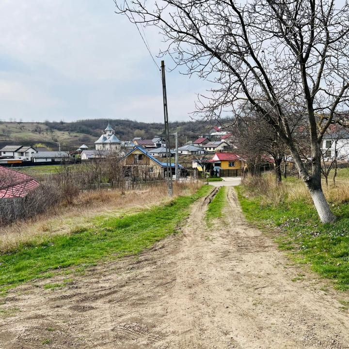 Teren intravilan 549 mp, 23 ml deschidere Miroslava - str. Balciu, CU emis – fotografia 4 din 4