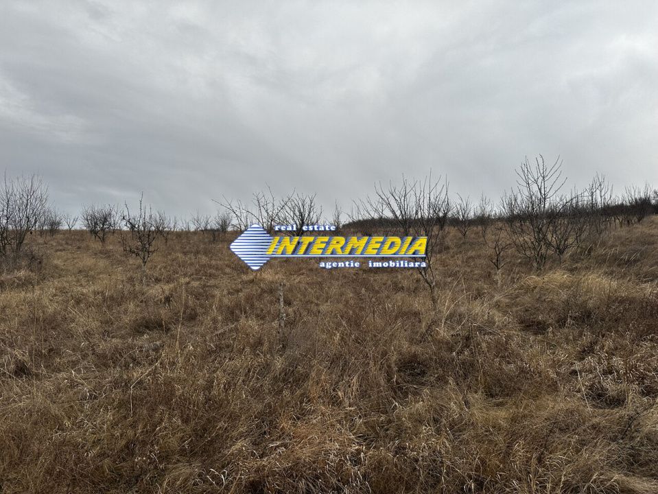 Teren extravilan de vanzare in suprafata de 80000 mp cu livada de pomi fructiferi – fotografia 6 din 11