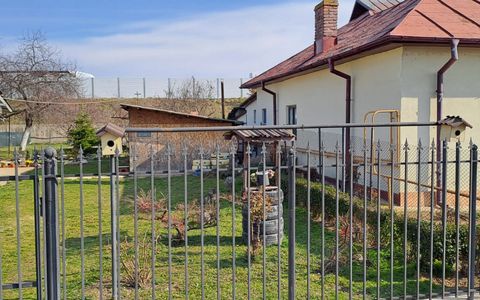 Teren 523 mp - Banănăi