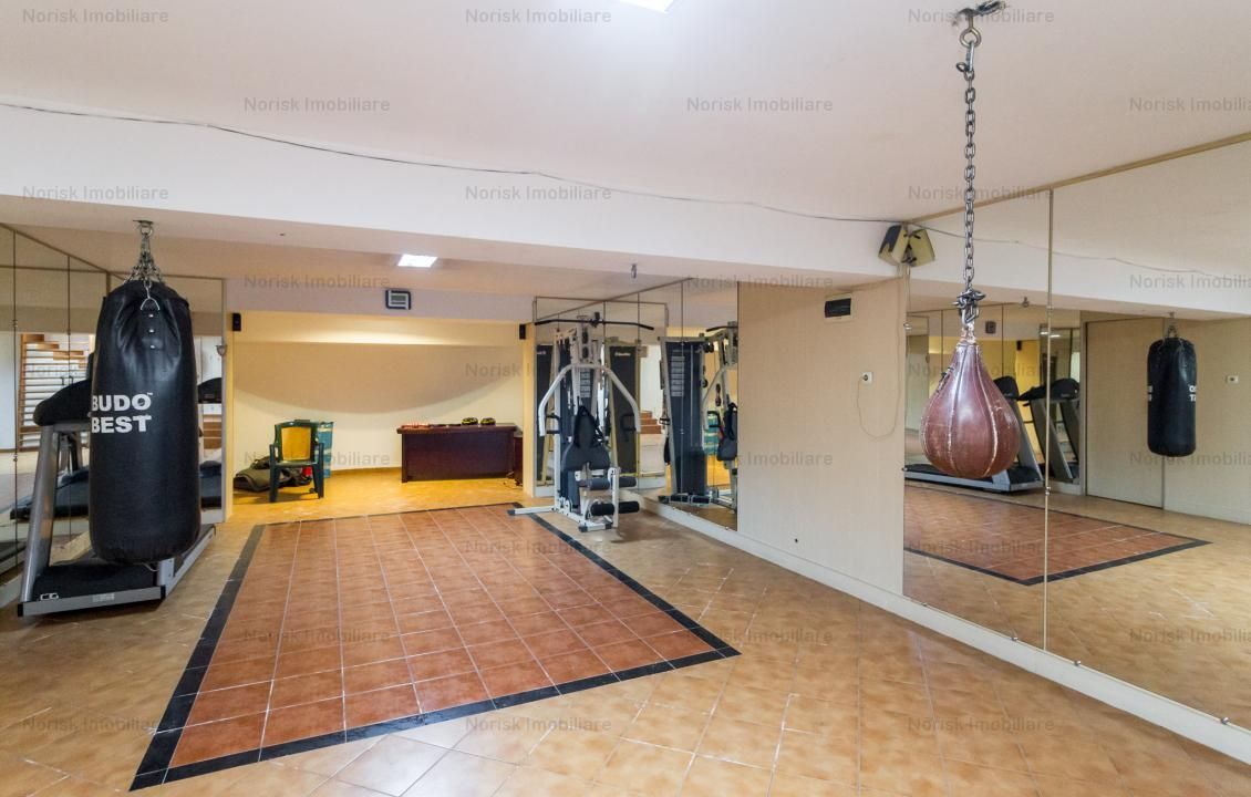Colentina - Fundeni - cladire multifunctionala 1200 mp construiti – fotografia 19 din 25