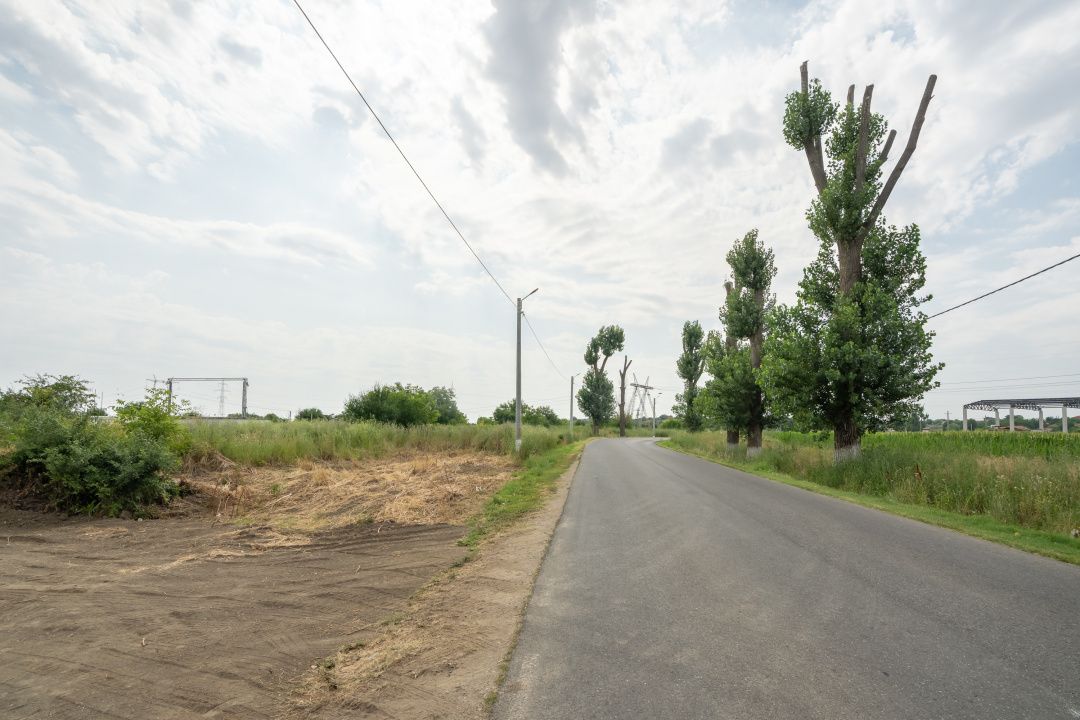 Teren Cernica,pentru Dezvoltare Rezidențială sau Industriala – fotografia 18 din 20