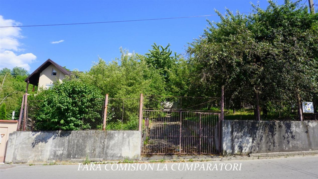 ANL- MORILOR TEREN 635 MP – fotografia 3 din 16