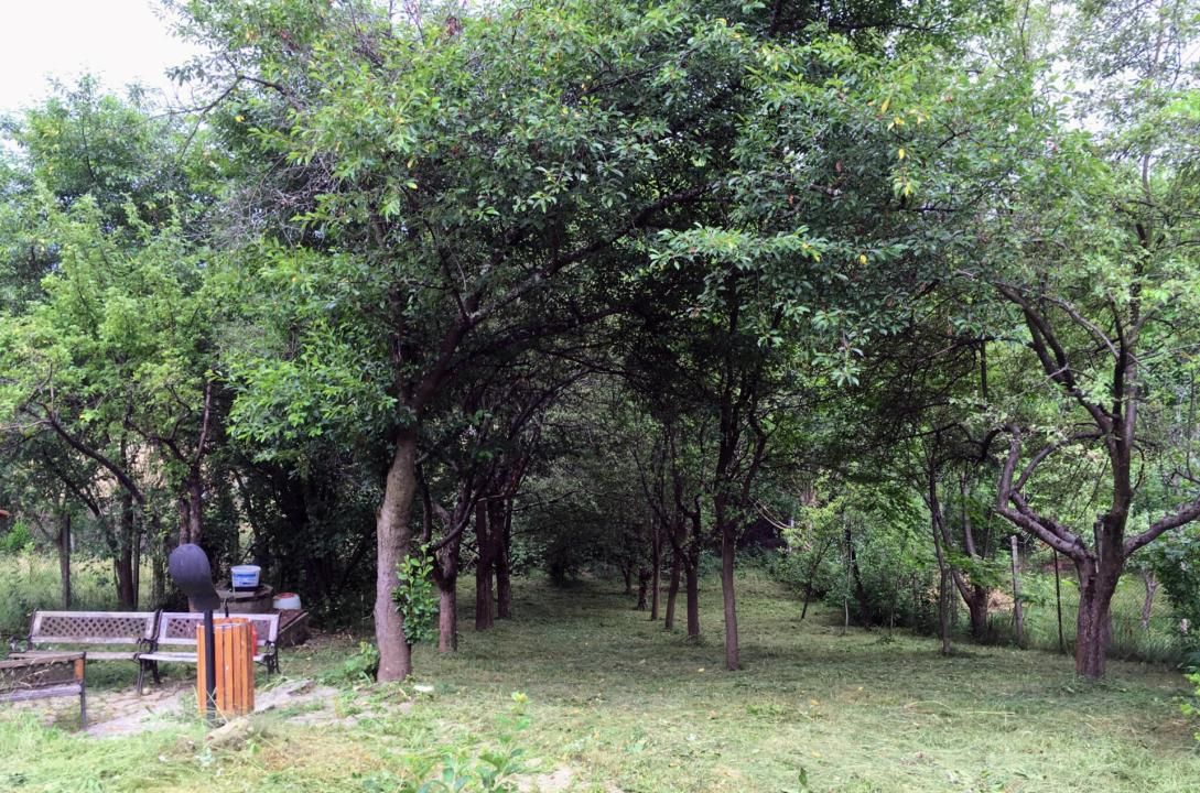Cabana  – Sibiu, zona Tropinii Noi – fotografia 11 din 24