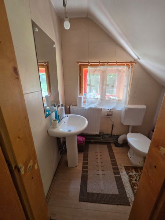 🏡 PROPRIETATE EXTRAORDINARĂ– LOTRIOARA, JUDEȚUL SIBIU! 🌲 – fotografia 31 din 72