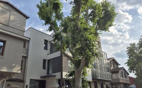 Casa de inchiriat | Tineretului | 280 mp | Birouri - Firme