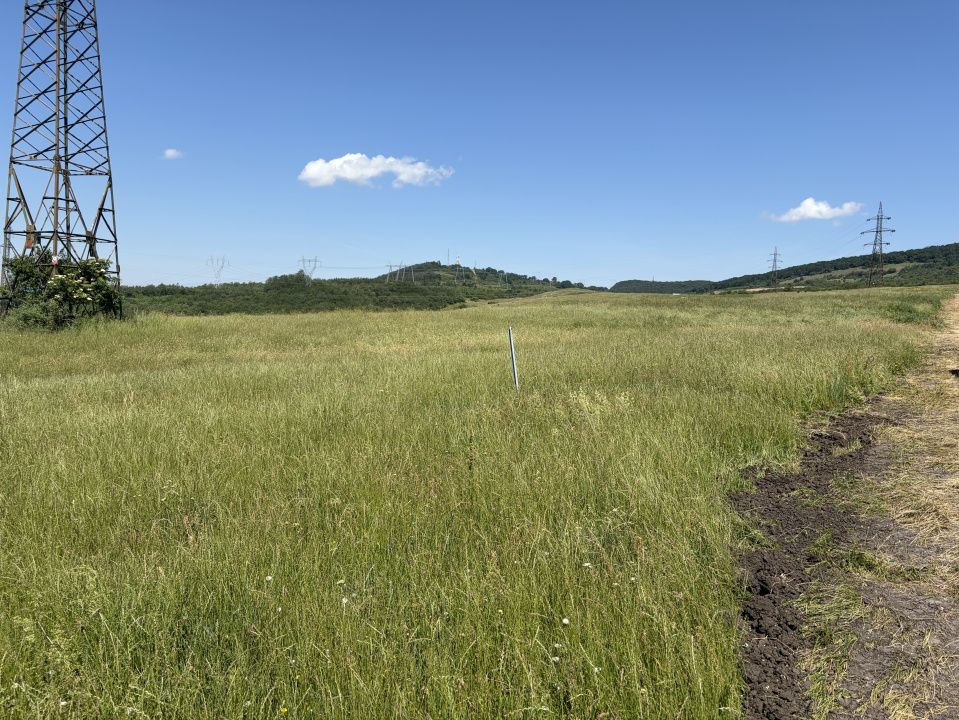 Teren lângă Sibiu zona Dealul Daii – fotografia 4 din 8