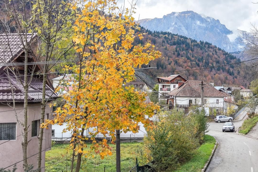Vilă D+P+1+Pod în Azuga – Vedere Spectaculoasă spre Varful Cazacu – fotografia 21 din 61
