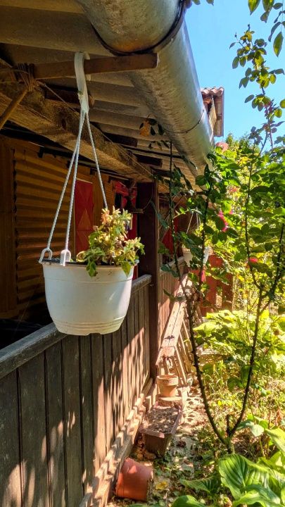 Teren intravilan Tocile, 1.093 mp / livadă, cabană, rulotă și o toamna frumoasă! – fotografia 18 din 37