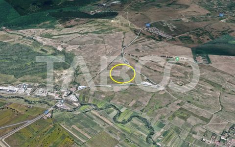 Teren intravilan de vanzare 5.986 mp Dealul Daii Sibiu