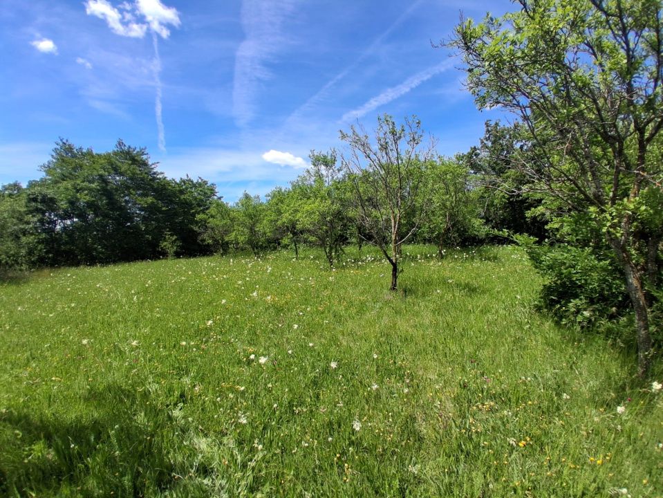 Ofertă de vânzare teren de 2700 mp., sat Popești – fotografia 6 din 6