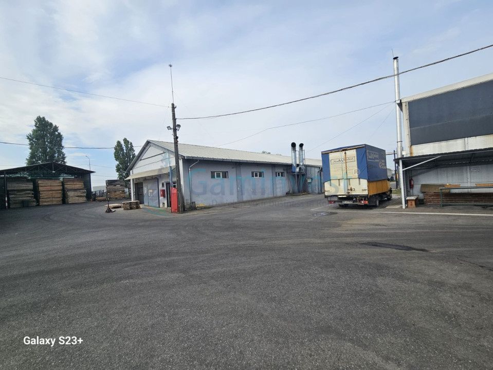 Oportunitate de investiție - Hale Industriale cu Randament ridicat in zona Borș – fotografia 6 din 19