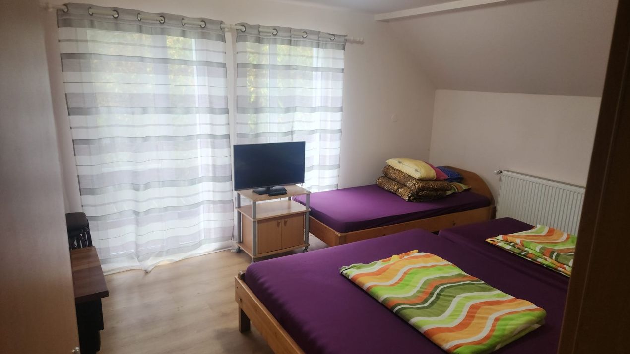 CASA DE VACANTA- VALEA AVRIGULUI-DE VANZARE – fotografia 6 din 9
