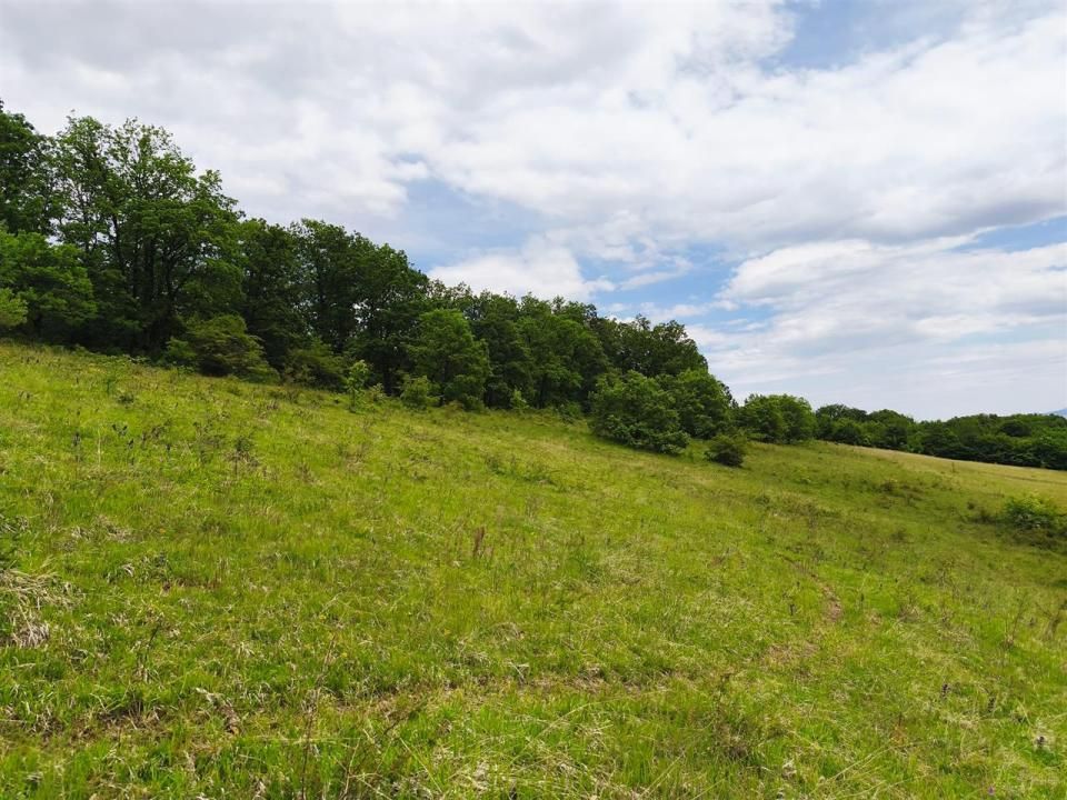 Teren vanzare Centura Donath Nord, 2900 mp – fotografia 8 din 11