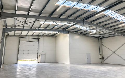 Oportunitate investiție | Hale Industriale | Depozite | 0% COMISION | Chitila