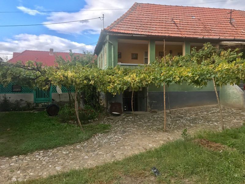OKAZIE! Casa in Cricau 3 Camere 1300 mp. Curte Teren Fantana Utilitati Asfalt – fotografia 7 din 32
